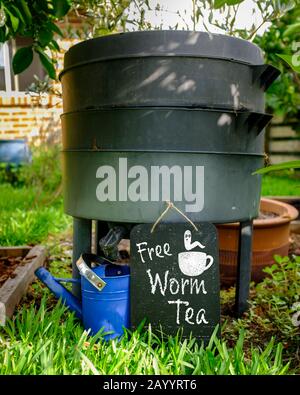 Niedriger Blick auf den Wurm Farm Kompost bin in organischem australischen Garten mit Schild für Free Worm Tea, Sustainable Living und Zero Waste Lifestyle Stockfoto