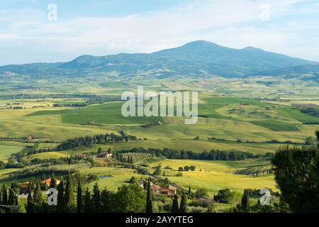 Blick auf das Val d'Orcia bei Pienza in der Toskana, Italien. Stockfoto