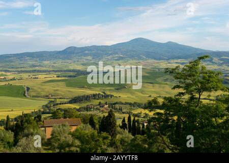 Blick auf das Val d'Orcia bei Pienza in der Toskana, Italien. Stockfoto