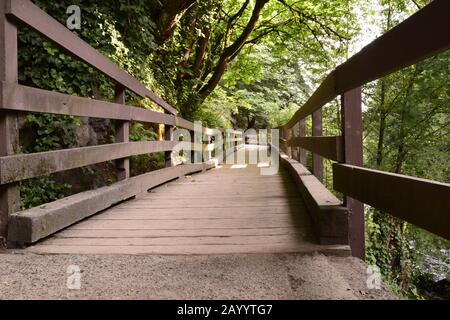 Niedriger Winkel Blick Auf Die Idyllische Holzfußbrücke, Die Während EINES sonnigen Morgens Durch Den Üppigen Wald Führt Stockfoto