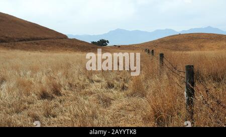 Kaikoura Peninsula Track, während eines sehr trockenen Sommers 2020, mit Blick nach Westen zum Seaward Kaikouras in der Ferne Stockfoto