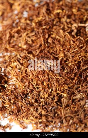 Rolling Tobacco hinterlässt Makrohintergrund fünfzig Megapixel Stockfoto