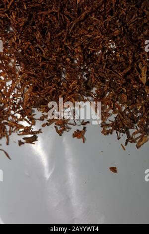 Rolling Tobacco hinterlässt Makrohintergrund fünfzig Megapixel Stockfoto