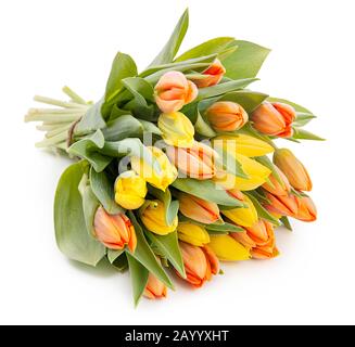Blumenstrauß aus frischen, schönen gelben und roten Tulpen auf weißem Hintergrund Stockfoto