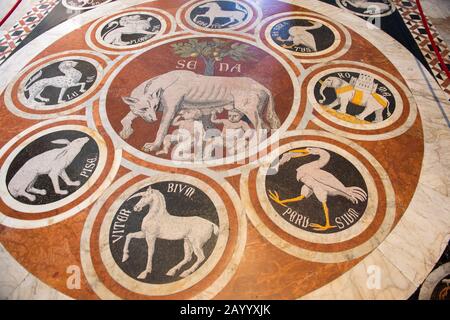 Marmormosaikböden aus dem 14. Bis 16. Jahrhundert im Dom von Siena, besser bekannt als Dom, in Siena, Toskana, Italien. Stockfoto