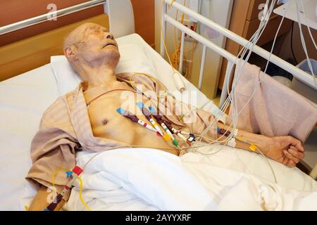 Japanischer alter Mann Patient liegt auf dem Bett, nehmen Sie ein Kardiogramm im Krankenhaus Stockfoto