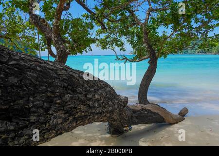 Surin-Inseln, Provinz Phang nga, Thailand. Stockfoto