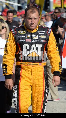 Homestead, Vereinigte Staaten Von Amerika. Nov. 2014. Homestead, FL - 16. NOVEMBER: Ryan Newman bei der NASCAR Sprint Cup Series Ford EcoBoost 400 auf dem Homestead-Miami Speedway am 16. November 2014 in Homestead, Florida. Leute: Ryan Newman Credit: Storms Media Group/Alamy Live News Stockfoto