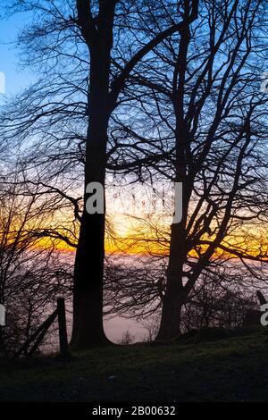 Buchen Sie auf dem Gipfel des Martinsell Hill an einem nebligen Wintermorgen bei Sonnenaufgang. In der Nähe von Oare, Vale of Pewsey, Wiltshire, England Stockfoto