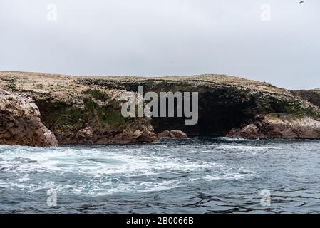 Zahlreiche Humboldtpinguine bei schönem Wetter auf den Ballestas-Inseln Peru Südamerikas Stockfoto