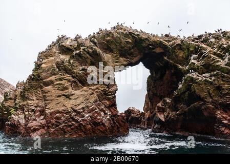 Bei schönem Wetter genießen die Humboldtpinguine auf den Ballestas-Inseln Peru Südamerikas Stockfoto