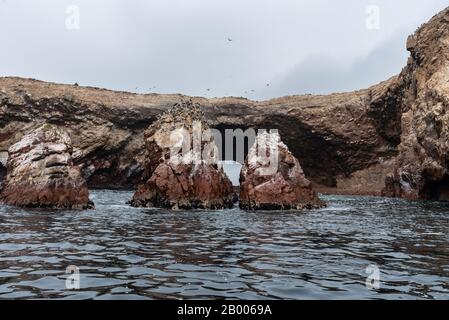 Bei schönem Wetter genießen die Humboldtpinguine auf den Ballestas-Inseln Peru Südamerikas Stockfoto