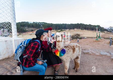 Frau spielt mit Alpaca in Peru Südamerika Stockfoto