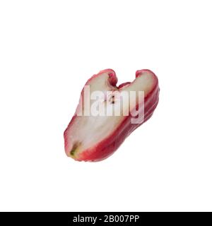 rosenapfel oder rosenapfel-frucht auf dem Hintergrund neu Stockfoto