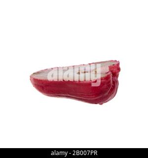 rosenapfel oder rosenapfel-frucht auf dem Hintergrund neu Stockfoto