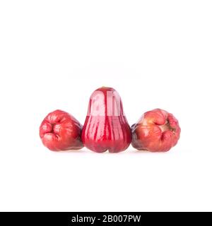 rosenapfel oder rosenapfel-frucht auf dem Hintergrund neu Stockfoto