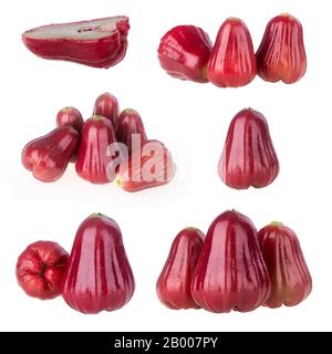 rosenapfel oder rosenapfel-frucht auf dem Hintergrund neu Stockfoto