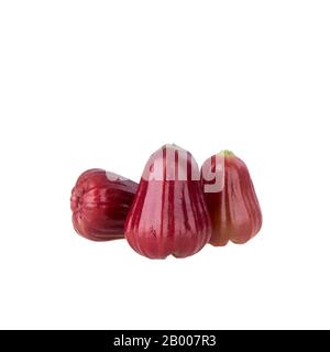 rosenapfel oder rosenapfel-frucht auf dem Hintergrund neu Stockfoto
