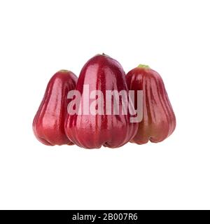 rosenapfel oder rosenapfel-frucht auf dem Hintergrund neu Stockfoto