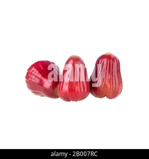 rosenapfel oder rosenapfel-frucht auf dem Hintergrund neu Stockfoto