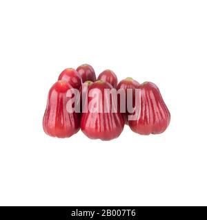 rosenapfel oder rosenapfel-frucht auf dem Hintergrund neu Stockfoto