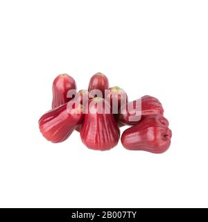 rosenapfel oder rosenapfel-frucht auf dem Hintergrund neu Stockfoto