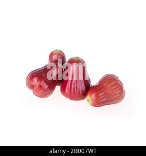 rosenapfel oder rosenapfel-frucht auf dem Hintergrund neu Stockfoto