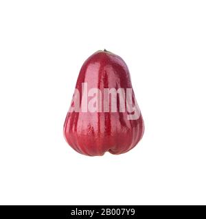 rosenapfel oder rosenapfel-frucht auf dem Hintergrund neu Stockfoto