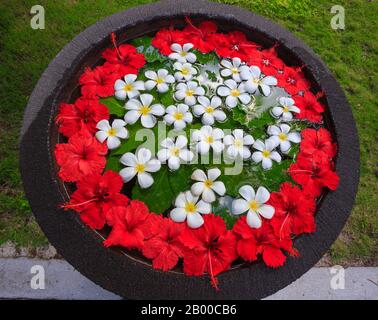 Ein Topf mit Wasser und mit Hibiskus und anderen weißen Blumen dekoriert Stockfoto