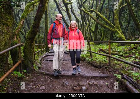 Paare wandern auf dem Waldweg im Lorbeerwald, Laguna Grande, Garajonay-Nationalpark, La Gomera, Kanarische Inseln, Spanien Stockfoto