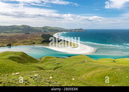 Blick auf Victory Beach und Wickliffe Bay, Otago Peninsula, Dunedin, Otago, South Island, Neuseeland Stockfoto