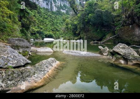 Pororari River, Pororari River Track, Punakaiki, Paparoa National Park, Westküste, Südinsel, Neuseeland Stockfoto