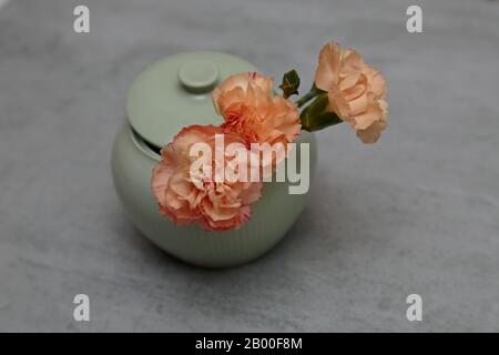 Eine Anordnung von Nelkenblumen in einer Zuckerschale Stockfoto