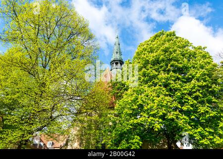 Die kreuzkirche, ein gotisches Gebäude in Hannover. Stockfoto