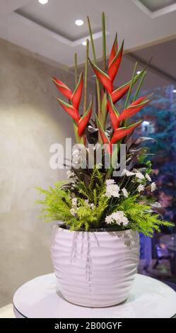 Blühende Natürliche Strelitzia-Blume (Vogelblume, Kranichlilie, Kranichblume) in einer Vase, die als Zierblütenhauspflanze kultiviert wird. Bac Stockfoto