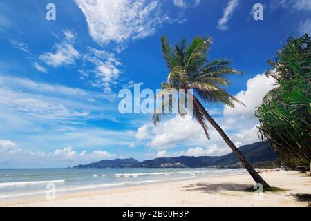 Naturblick auf den schönen tropischen Sommerstrand mit Palmen in Patong, Phuket Island, Thailand, Urlaub und Urlaub für das Sommerzeitkonzept Stockfoto