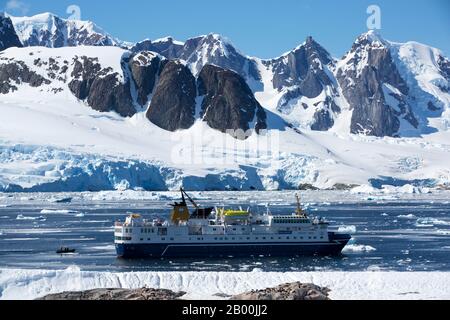 Gentoo Pinguin, (Pygoscelis papua) auf der Peterman Island in der Nähe des Lemaire-Kanals, Graham Land, Antarktis mit einem Expeditionskreuzschiff. Stockfoto