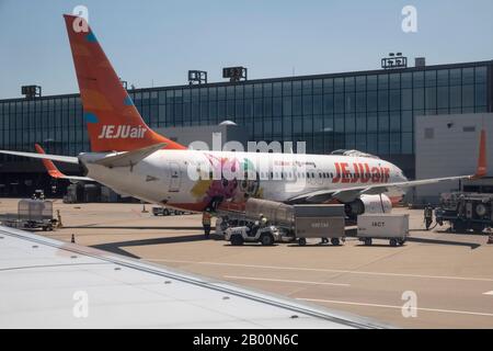 Südkorea: Flugzeug der südkoreanischen Fluggesellschaft Jeju-Air am Seoul Incheon International Airport Stockfoto