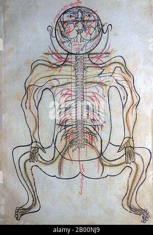 Persien / Iran: Anatomische Zeichnung des Tashrīḥ-i badan-i insān aus dem 15. Jahrhundert. Manṣūr ibn Muḥammad ibn Aḥmad, Tashrīḥ-i badan-i insān ('die Anatomie des menschlichen Körpers'). Persisches Manuskript, Kopie undatiert; Aussehen von Papier, Handschrift, Tinte, Illustrationen, etc. Suggerieren ca. Ende 15. Oder sehr frühen 16. Jahrhundert. Stockfoto