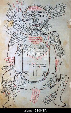 Persien / Iran: Anatomische Zeichnung des Tashrīḥ-i badan-i insān aus dem 15. Jahrhundert. Manṣūr ibn Muḥammad ibn Aḥmad, Tashrīḥ-i badan-i insān ('die Anatomie des menschlichen Körpers'). Persisches Manuskript, Kopie undatiert; Aussehen von Papier, Handschrift, Tinte, Illustrationen, etc. Suggerieren ca. Ende 15. Oder sehr frühen 16. Jahrhundert. Stockfoto