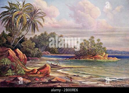 Sri Lanka/Deutschland: 'Taprobane Island, Weligama Bay'. Aquarellmalerei des deutschen Wissenschaftlers und Reisenden Ernst Haeckel (1834-1919), c. 1882. Ernst Heinrich Philipp August Haeckel (16. Februar 1834 – 9. August 1919), ebenfalls von Haeckel geschrieben, war ein bedeutender deutscher Biologe, Naturforscher, Philosoph, Arzt, Professor und Künstler, der Tausende neuer Arten entdeckte, beschrieb und benannte, einen genealogischen Baum aller Lebensformen kartierte, Und prägte viele Begriffe in der Biologie, einschließlich Anthropogenie, Ökologie, Stamm, Phylogenie, und das Königreich Protista. Stockfoto