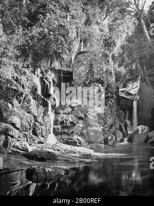 Sri Lanka: Ein Wasserfall in der Nähe von Kandy, Central Highlands. Foto von Ernst Haeckel (1834-1919), Anfang des 20. Jahrhunderts. Ernst Heinrich Philipp August Haeckel (16. Februar 1834 – 9. August 1919), ebenfalls von Haeckel geschrieben, war ein bedeutender deutscher Biologe, Naturforscher, Philosoph, Arzt, Professor und Künstler, der Tausende neuer Arten entdeckte, beschrieb und benannte, einen genealogischen Baum aller Lebensformen kartierte, Und prägte viele Begriffe in der Biologie, einschließlich Anthropogenie, Ökologie, Stamm, Phylogenie, und das Königreich Protista. Haeckel förderte und popularisierte Charles Darwins Arbeit in Deutschland. Stockfoto