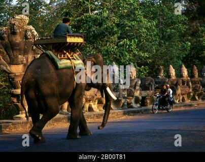 Kambodscha: Ein Elefant und sein Mahout nähern sich dem Südtor von Angkor Thom. Angkor Thom liegt eine Meile nördlich von Angkor Wat. Es wurde im späten 12. Jahrhundert von König Jayavarman VII. Erbaut und umfasst eine Fläche von 9 km², in denen sich mehrere Denkmäler aus früheren Epochen sowie die von Jayavarman und seinen Nachfolgern. Es wird angenommen, dass es eine Bevölkerung von 80,000-150,000 Menschen erhalten haben. Im Zentrum der Stadt ist Jayavarmans Staatstempel, der Bayon, mit den anderen großen Aufstellungsorten, die um den Victory Square sofort zum Norden geclustered werden. Stockfoto