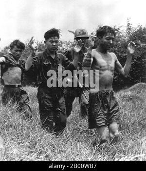 Vietnam: Mutmaßliche kommunistische aufständische Kriegsgefangene, die während der Tet-Offensive 1968 gefangen genommen wurden. Die Tet-Offensive war eine militärische Kampagne während des Vietnamkrieges, die am 31. Januar 1968 begann. Die Streitkräfte der Nationalen Befreiungsfront für Südvietnam (NLF, oder Viet Cong) und der Volksarmee Vietnams (der nordvietnamesischen Armee) kämpften gegen die Streitkräfte der Republik Vietnam (Südvietnam), der Vereinigten Staaten und ihrer Verbündeten. Ziel der Offensive war es, militärische und zivile Kommandozentralen und Kontrollzentren in ganz Südvietnam zu schlagen und einen allgemeinen Aufstand zu entfachen, Stockfoto