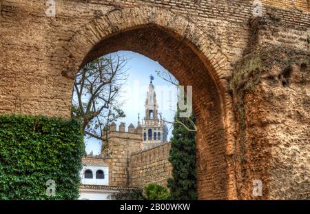 Blick auf die Giralda, den Kirchturm der Kathedrale von Sevilla, von den königlichen Alcázaren. Andalusien, Spanien. Stockfoto