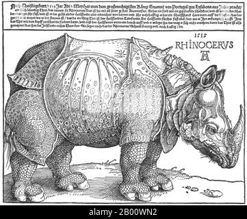 Deutschland: 'Dürer's Rhinoceros'. Holzschnitt von Albrecht Durer (1471-1528), 1515. Albrecht Dürer (21. Mai 1471 – 6. April 1528) war ein deutscher Maler, Grafiker und Theoretiker aus Nürnberg. Seine Grafiken haben seinen Ruf in ganz Europa begründet, als er noch in seinen Zwanzigern war, und er gilt seitdem konventionell als der größte Künstler der nördlichen Renaissance. Dürers Einführung klassischer Motive in die Nordkunst, durch seine Kenntnisse italienischer Künstler und deutscher Humanisten, hat sich seinen Ruf als eine der wichtigsten Figuren der Nordrenaissance gesichert. Stockfoto