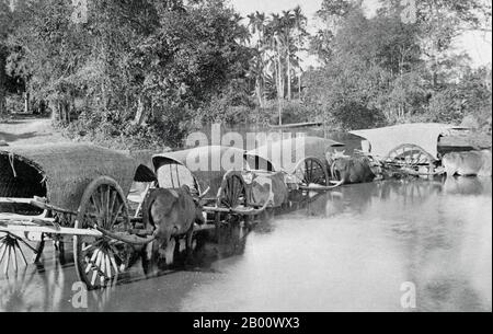 Kambodscha: Eine Karawane von Ochsenkarren überquert 1928 eine furt in Kambodscha. Kambodscha wurde als Protektorat Frankreichs von 1863 bis 1953 als Teil der Kolonie der französischen Indochina verwaltet, obwohl es von 1941 bis 1945 vom japanischen Reich besetzt war. Nach dem Tod von König Norodom 1904 manipulierte Frankreich die Wahl des Königs, und Sisowath, Norodoms Bruder, wurde auf den Thron gesetzt. Die Mehrheit der kambodschanischen Bevölkerung lebt unwirtschaftlich und verlässt sich für ihre Lebensgrundlage auf die Landwirtschaft, vor allem auf Reisfelder. Stockfoto