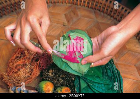 Thailand: Vorbereitung eines Betel Quid. Die Betel (Piper betle) ist das Blatt einer Rebe, die zur Familie der Piperaceae gehört, zu der Pfeffer und Kava gehören. Es wird sowohl als mildes Stimulans als auch für seine medizinischen Eigenschaften geschätzt. Das Kauen von Areca-Nuss ist in der modernen Welt ein immer seltener Brauch. Doch einst, vor nicht allzu langer Zeit, wurde die Areca-Nuss – mit dem Blatt des Betelbaumes und der Lindenpaste aufgenommen – von Menschen aller Gesellschaftsschichten in ganz Süd- und Südostasien weit konsumiert und galt als wesentlicher Bestandteil des täglichen Lebens. Stockfoto