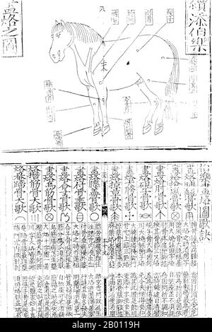 China: Ein Diagramm zeigt Details der Reiteranatomie, c. 600 BCE. Die Tea Horse Road (Cha Ma Dao) war ein Netzwerk von Maultierkarawanenwegen, die sich durch die Berge von Yunnan, Sichuan und Tibet im Südwesten Chinas schlängelten. Es wird auch manchmal als die Southern Silk Road und Ancient Tea and Horse Road bezeichnet. Seit etwa tausend Jahren war die Ancient Tea Route eine Handelsverbindung von Yunnan, einer der ersten Teeanbauregionen, nach Indien über Burma, nach Tibet und über die Provinz Sichuan nach Zentralchina. Neben Tee trugen die Maultierkarawanen Salz. Stockfoto