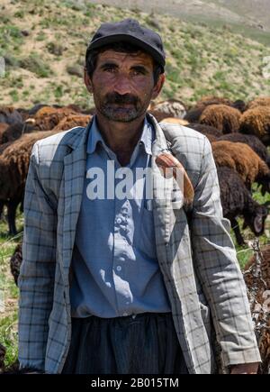 Sheperd und Schafherde bei Baba Nazar im Iran im Frühling mit schneebedeckten Hügeln. Stockfoto